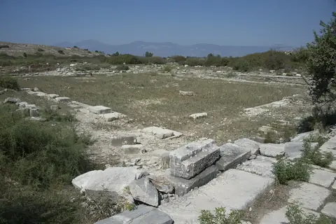 Delphinion